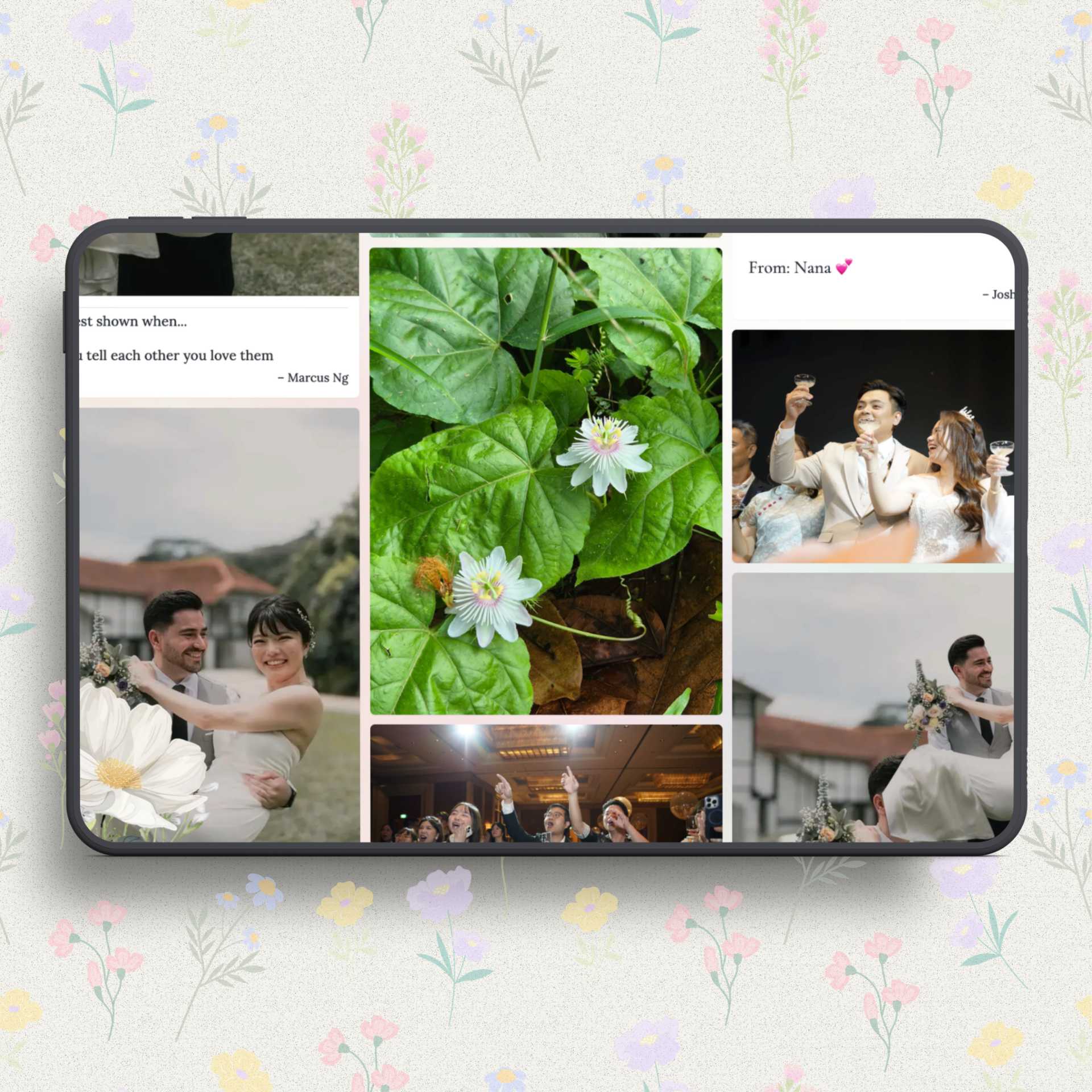 Blush Rose live wall preview