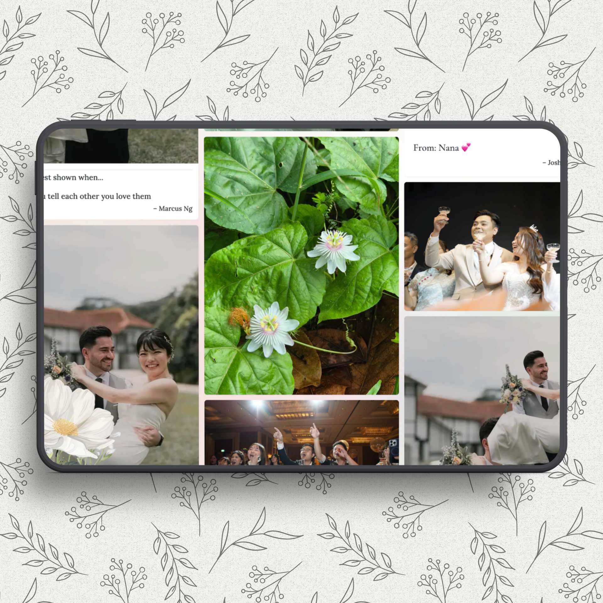 Ivory White live wall preview
